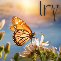 TRY - Instrumental cover